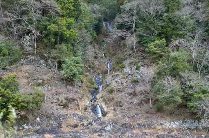 �@�@�̑�E�Ί݂��